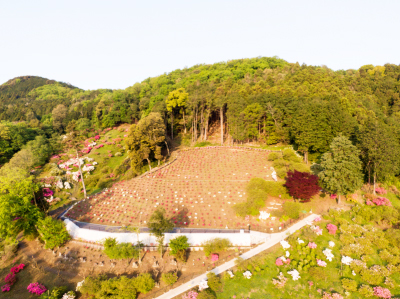 五大尊花木墓苑の写真